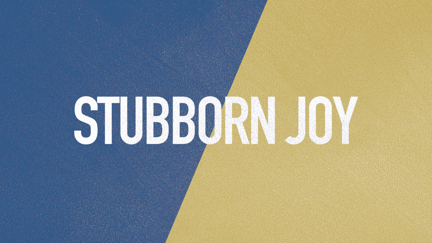 Stubborn Joy
